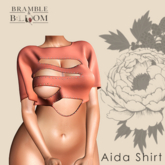 B&B: Aida shirt (Terra Cotta)