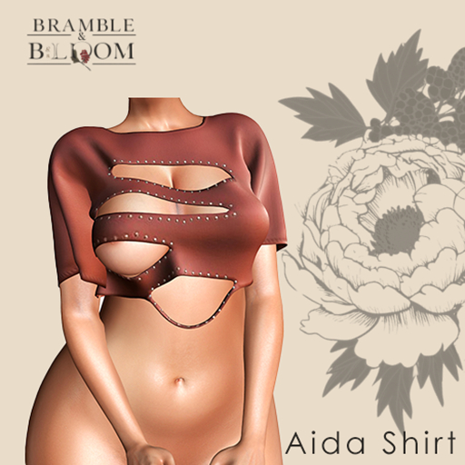B&B: Aida shirt (Chestnut) 