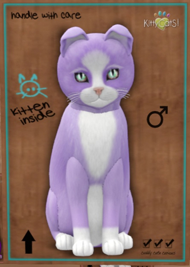 KittyCatS Box - New Born Kitten   998