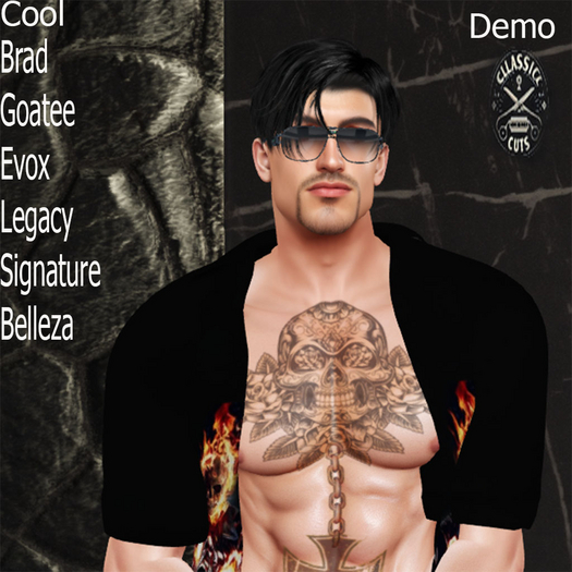 Demo Brad Cool  Goatee Evox
