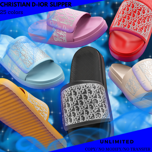  Christian D-ior Slipper(FATPACK) 