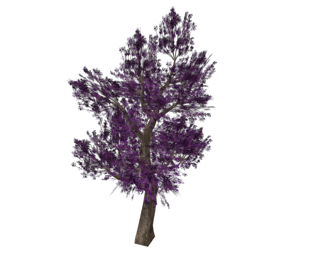 Tree Purple