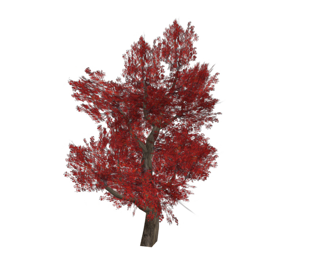 Tree Red