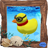 (7S) Rare Stuff: Aviator Duck
