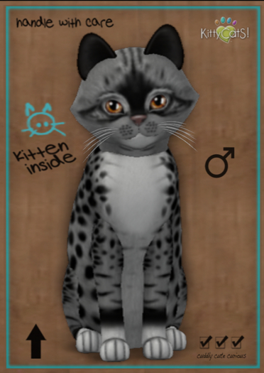 KittyCatS Box - Genesis - Bandit II (male) (petite)