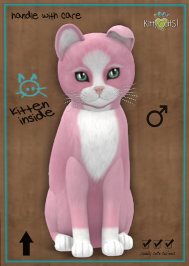 KittyCatS Box - Chateau Cat - Pink & White No. 1 (male)