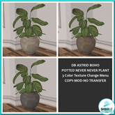 DB ASTRID BOHO POTTED NEVER NEVER PLANT  ADD ME