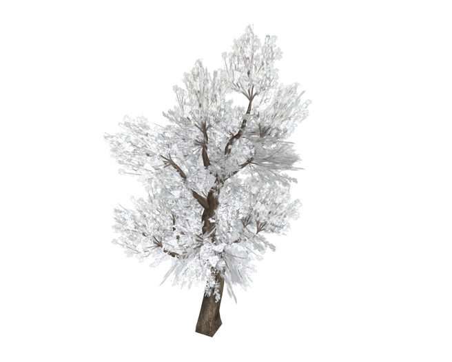 Tree White