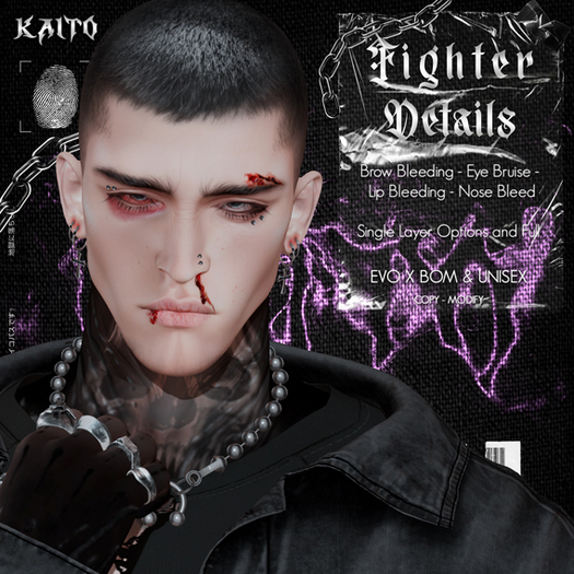 [KAITO] Fighter Details