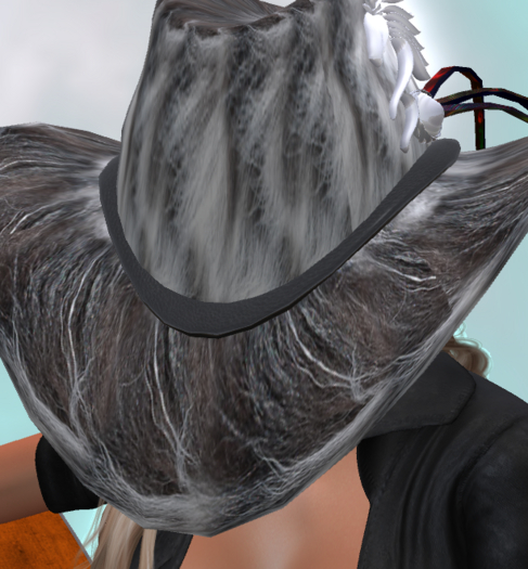 Smelly Paws Cowboy Hat