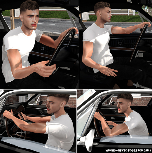 WRONG - BENTO POSES FOR CAR 1