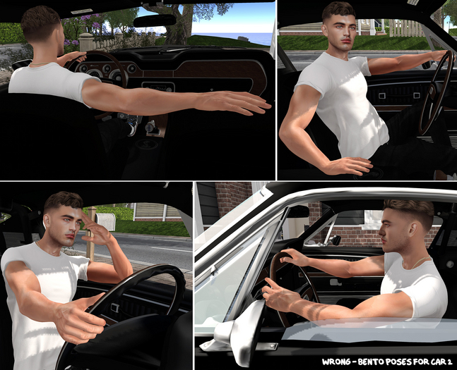 WRONG - BENTO POSES FOR CAR 2