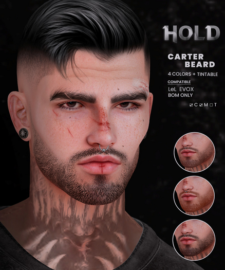 HOLD - CARTER BEARD EVOX (BOM)