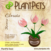 PlantPet Seed [Eleusis *Roseus*]