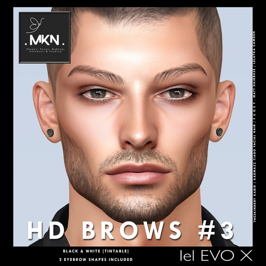 . MKN . HD Brows #3 [LEL EvoX] 