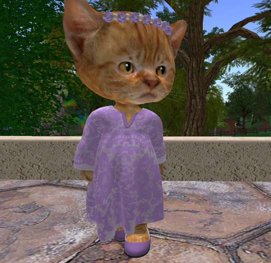 Dinkie Lace Dress lilac