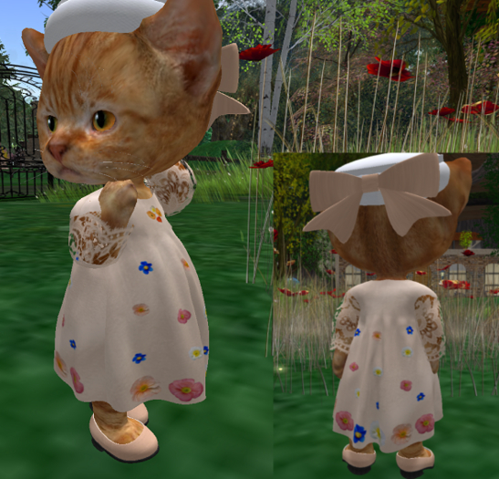 Dinkie Poppy Dress peach