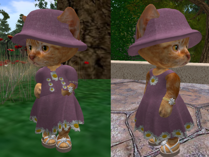 Dinkie Summer Daisies berry