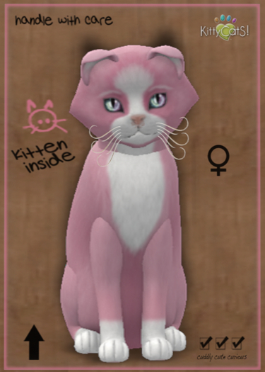 KittyCatS Box - 9T Chateau Cat - Pink & White No. 1 (female)