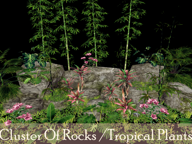 Tropical Landscape