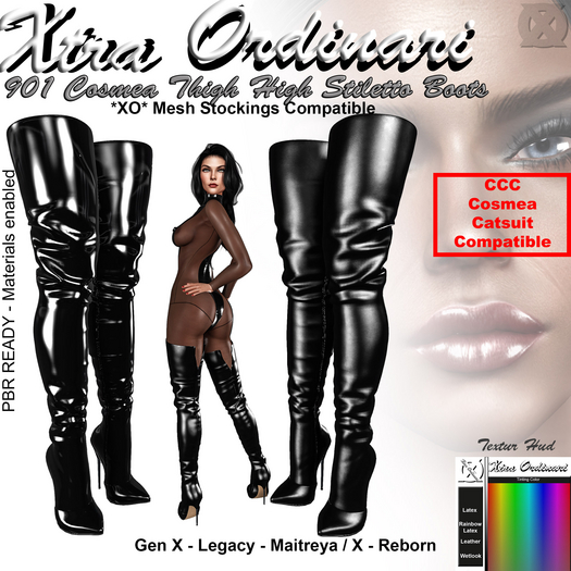 *XO* 901 Cosmea Tigh High Stiletto Boots