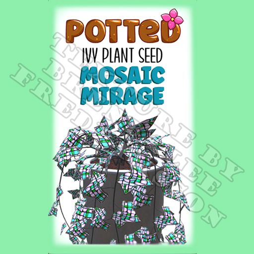 Potted: Ivy Plant Seed: Mosaic Mirage (ACTUAL PLANT SEED) - Retired!
