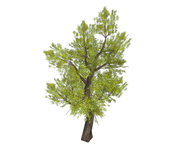 Tree Green