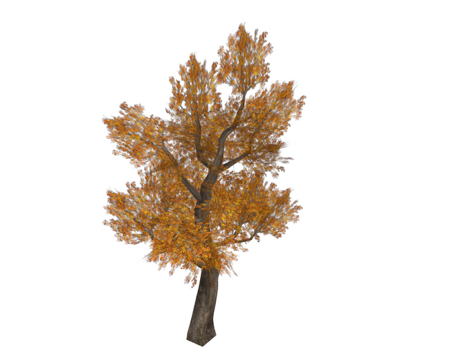 Tree Brown