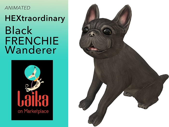 12. *HEXtraordinary* Black Frenchie Wanderer