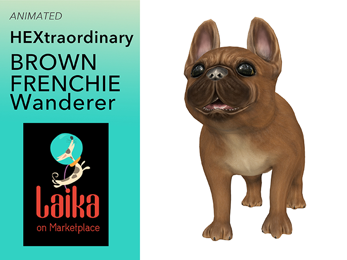 10. *HEXtraordinary* Brown Frenchie Wanderer