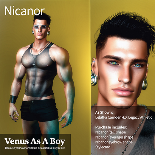VAB - Nicanor Shape