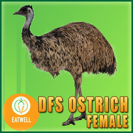 DFS Ostrich Female (Actual Item) 0-Days Old