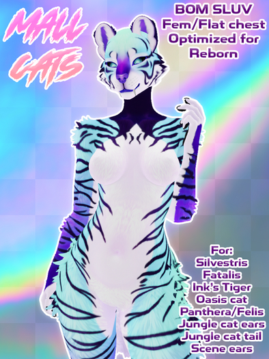 EV - Mall Cat - Baja