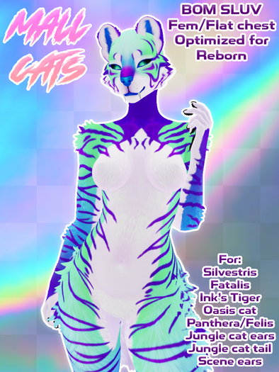 EV - Mall Cat - Mako