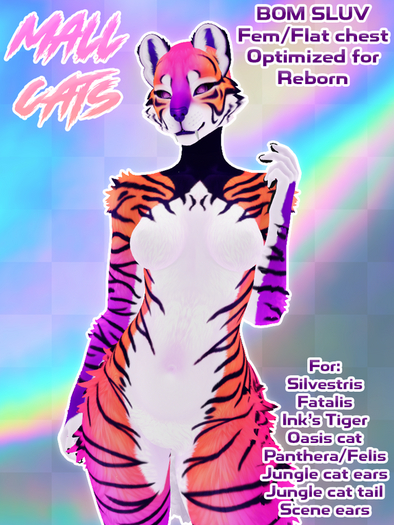 EV - Mall Cat - Sunset