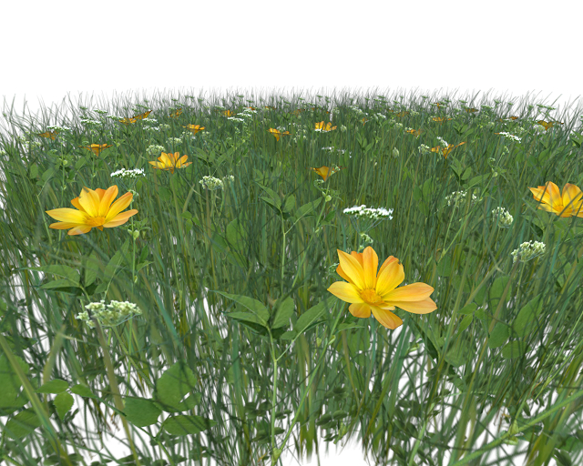 Atheria Designs Large Grass Patch with Yellow Flowers
