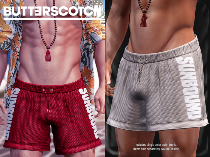 BUTTERSCOTCH . Hudson Swim Trunks {Sand}