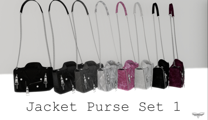 SpellBound JAcket Purse Set 1