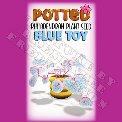 Potted: Philodendron Plant Seed: Blue Toy (ACTUAL PLANT SEED) - Retired!