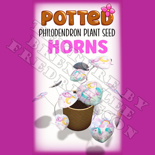 Potted: Philodendron Plant Seed: Horns (ACTUAL PLANT SEED) - Retired!