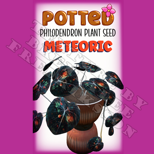 Potted: Philodendron Plant Seed: Meteoric (ACTUAL PLANT SEED) - Retired!