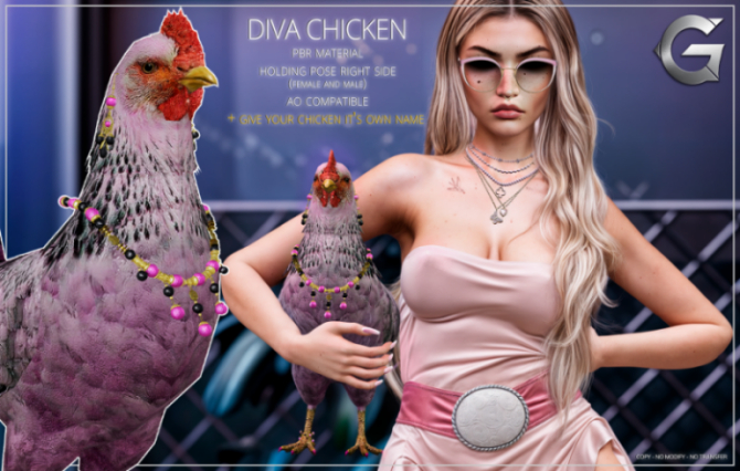 {geek} Diva Chicken