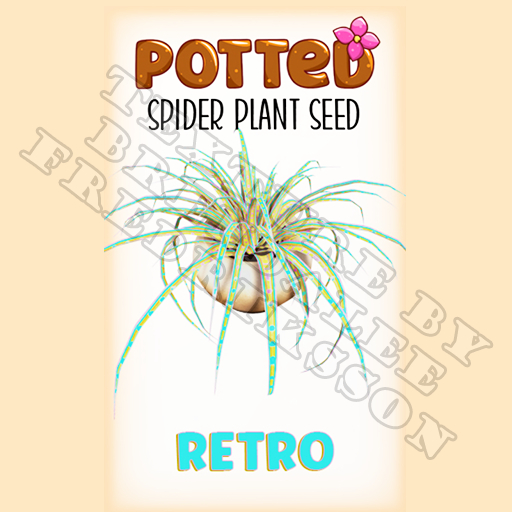 Potted: Spider Plant Seed: Retro (ACTUAL PLANT SEED) - Retired!
