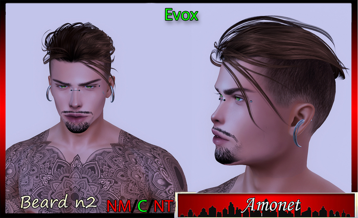 BEARD N2 - EVOX 