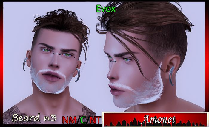 BEARD N3 - EVOX
