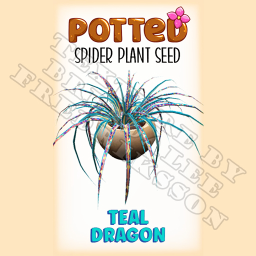Potted: Spider Plant Seed: Teal Dragon (ACTUAL PLANT SEED) - Retired!