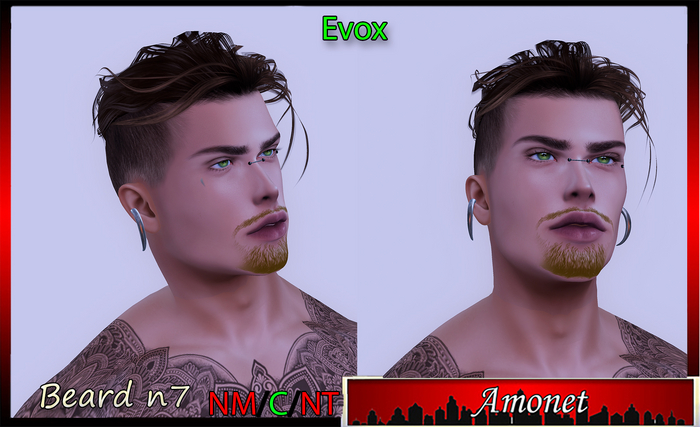 BEARD N7 - EVOX 