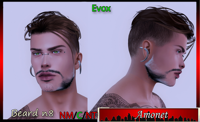 BEARD N8 - EVOX