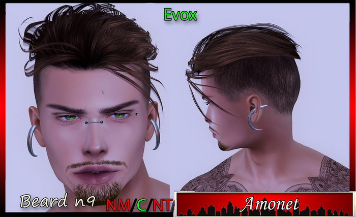 BEARD N9 - EVOX 