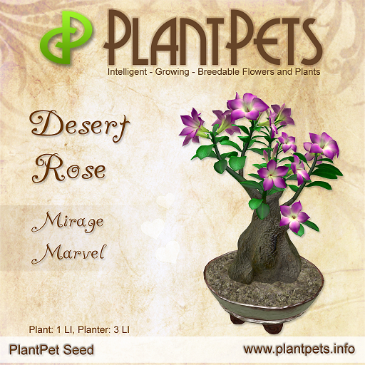 PlantPet Seed [Desert Rose *Mirage Marvel*]